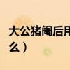 大公猪阉后用什么药消炎（化学阉公猪药叫什么）