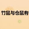 竹鼠与仓鼠有什么不同（竹鼠与芒鼠的区别）
