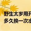 野生太岁用开水泡会产生什么效果（太岁养殖多久换一次水）
