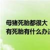 母猪死胎都很大（母猪胎盘下来了是不是没有小猪了肚子里有死胎有什么办法把他弄出来）