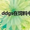 ddgs在饲料中的作用（ddgs饲料营养成分）
