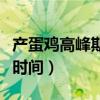 产蛋鸡高峰期一般几个月（蛋鸡高峰期有多长时间）