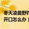 冬天凌晨野钓鲫鱼不开口怎么办（鲫鱼蹭线不开口怎么办）