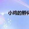小鸡的孵化过程（温度和湿度是多少）