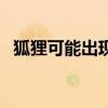 狐狸可能出现在农村吗（狐狸可以家养吗）