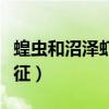 蝗虫和沼泽虾的各种部位（蝗虫和虾的共同特征）
