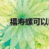 福寿螺可以喂龟嘛（福寿螺可以喂龟吗）