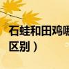 石蛙和田鸡哪个寄生虫多（石蛙和田鸡有什么区别）