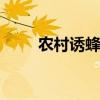农村诱蜂秘方 几月诱蜂最容易来蜂