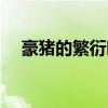 豪猪的繁衍时间（豪猪在什么时候交配）