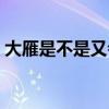大雁是不是又会飞又会游泳（大雁会游泳么）