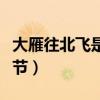 大雁往北飞是什么季节（大雁往南飞是什么季节）