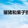 獾猪和果子狸区别（果子狸和负鼠的区别）
