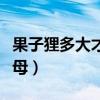 果子狸多大才能看出公母（果子狸怎么辨别公母）