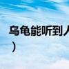 乌龟能听到人类的声音吗（乌龟听得见声音吗）