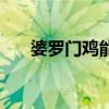 婆罗门鸡能长多重（多少个月能下蛋）