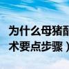 为什么母猪配种当天不喂料（母猪人工授精技术要点步骤）