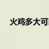 火鸡多大可以下蛋（火鸡多大可以下蛋）