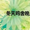 冬天鸡舍晚上开灯（鸡舍晚上开灯利弊）