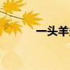 一头羊多少斤（一头羊多少斤）