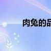 肉兔的品种和价格（肉兔的品种）