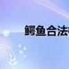 鳄鱼合法标签（鳄鱼能吃吗合法吗）
