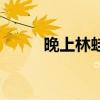 晚上林蛙下山（林蛙晚上进食吗）