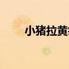 小猪拉黄痢怎么治（是什么引起的）