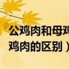 公鸡肉和母鸡肉哪种营养价值高（公鸡肉和母鸡肉的区别）