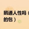 鹅通人性吗（小鹅为什么头顶上有个很大很大的包）