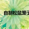 自制松鼠笼子怎么布置（松鼠笼怎么布置）