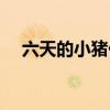 六天的小猪伪狂犬什么症状（如何防治）