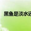 黑鱼是淡水还是海水鱼（黑鱼是淡水鱼吗）