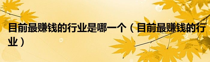 目前最赚钱的行业是哪一个（目前最赚钱的行业）