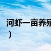 河虾一亩养殖多少斤（河虾养殖一亩产量多少）