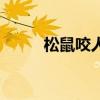 松鼠咬人如何纠正（松鼠咬人吗）