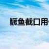 鳜鱼截口用什么假饵（鳜鱼用什么假饵）