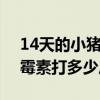 14天的小猪做圆环多少毫升（160万单位青霉素打多少斤猪）