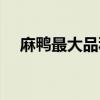 麻鸭最大品种（什么品种长得又快又重）