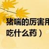 猪喘的厉害用什么药特效（流鼻涕打喷嚏咳嗽吃什么药）