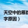 天空中的雁群为什么会写字（雁群为什么会写字原因）