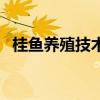 桂鱼养殖技术及饲料（适合什么地方养殖）