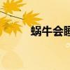 蜗牛会睡觉吗（蜗牛体温恒定吗）