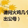 请问火鸡几个月能看出公母（火鸡多少天能看出公母）