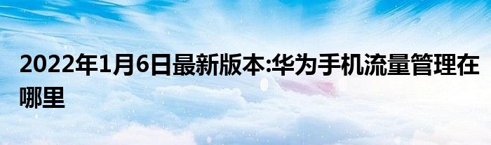 2022年1月6日最新版本:华为手机流量管理在哪里