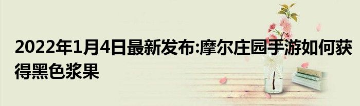 2022年1月4日最新发布:摩尔庄园手游如何获得黑色浆果