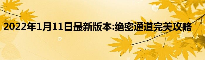 2022年1月11日最新版本:绝密通道完美攻略