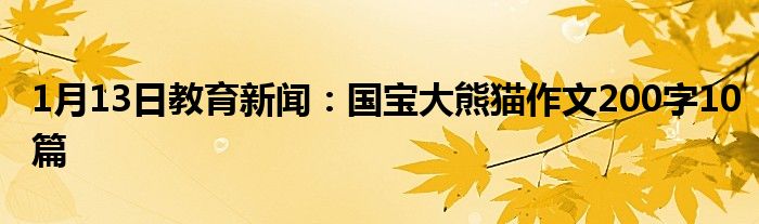 1月13日教育新闻：国宝大熊猫作文200字10篇