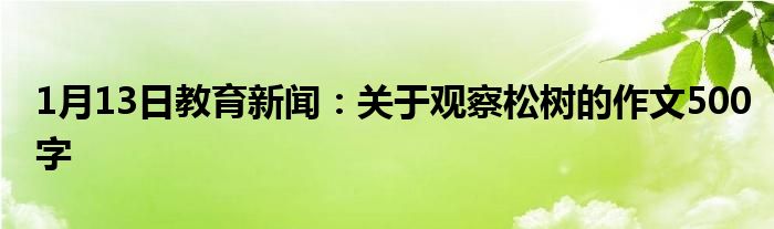 1月13日教育新闻：关于观察松树的作文500字