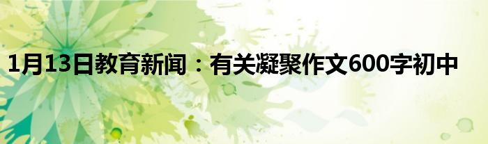 1月13日教育新闻：有关凝聚作文600字初中